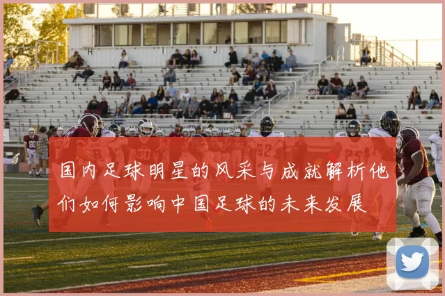 国内足球明星的风采与成就解析他们如何影响中国足球的未来发展