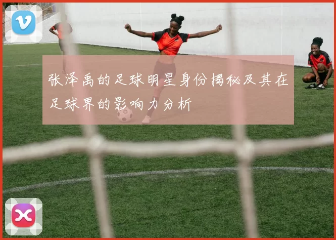 张泽禹的足球明星身份揭秘及其在足球界的影响力分析