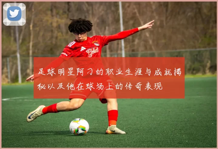 足球明星阿刁的职业生涯与成就揭秘以及他在球场上的传奇表现