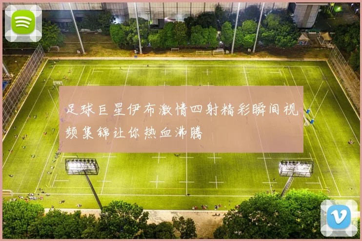 足球巨星伊布激情四射精彩瞬间视频集锦让你热血沸腾